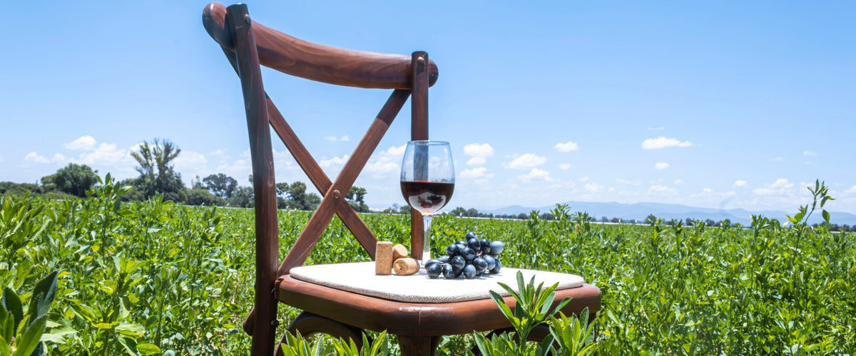 Weine aus Apulien: Glas Rotwein auf einem Stuhl im grünen Feld