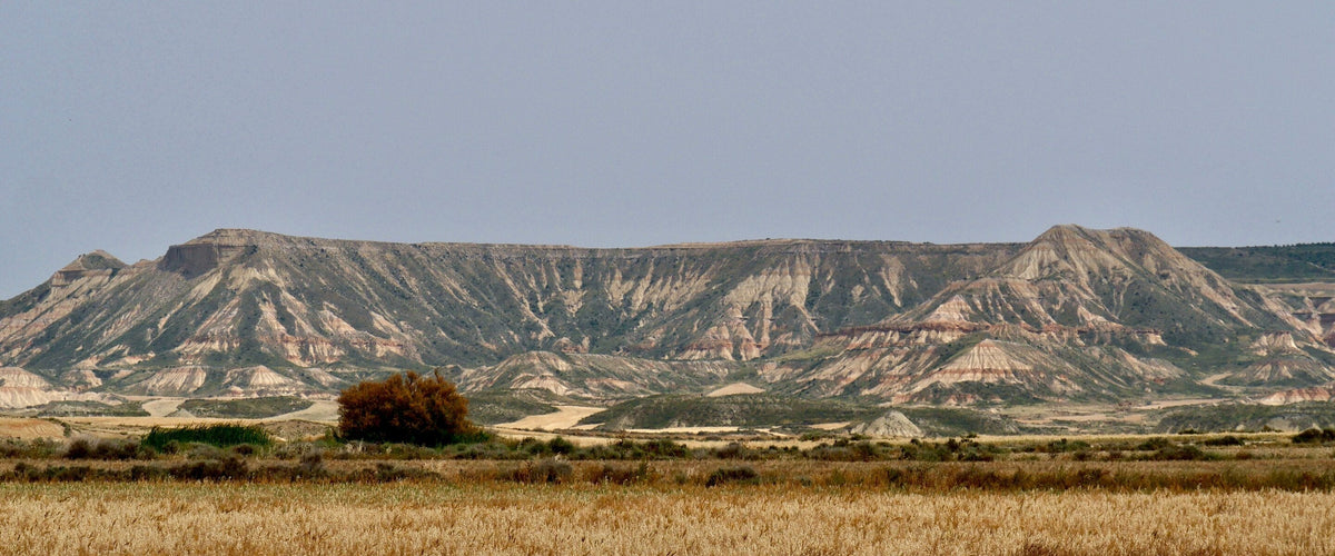Weine aus Navarra: Bardenas Reales mit Getreidefeld