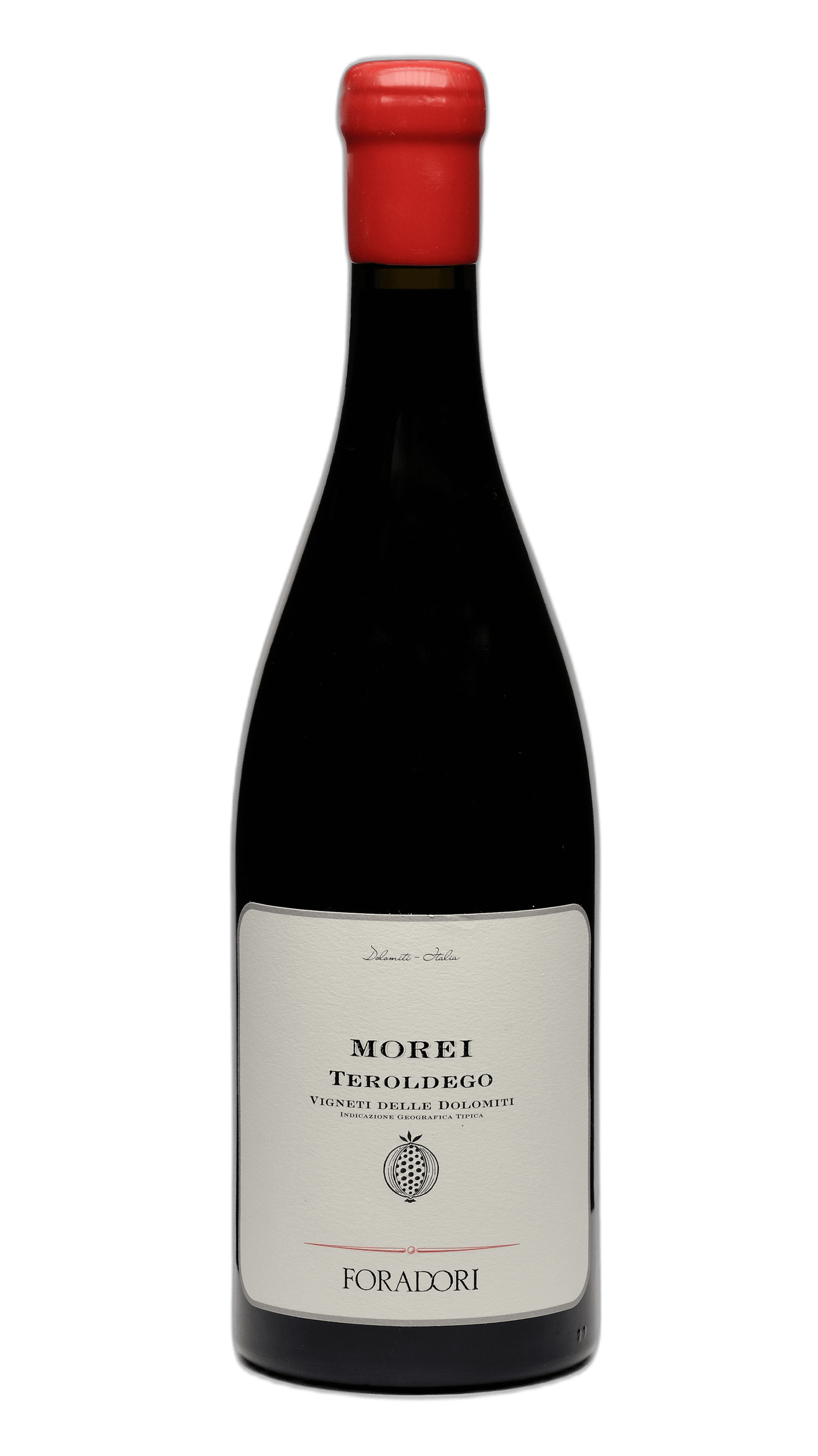 Morei Teroldego Amphore Foradori Vigneti delle Dolomiti IGT - Trentino (Italien)