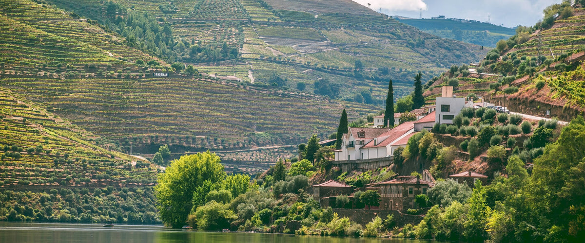 Weine aus Douro: Terrassen und Quinta am Douro