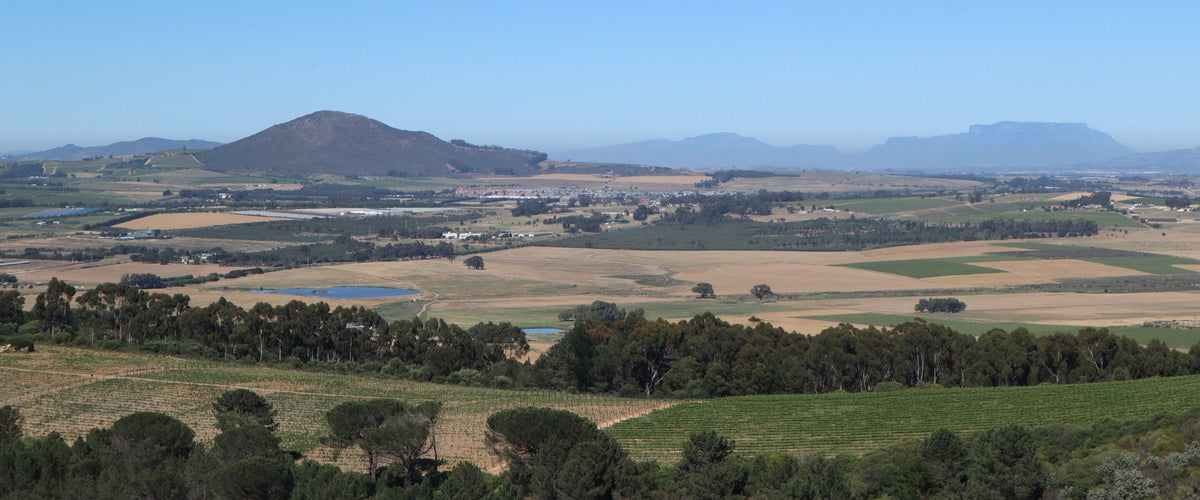 Weine aus Durbanville: Weites Land mit Feldern, Tafelberg am Horizont