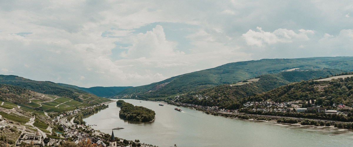 Weine aus dem Rheingau: Rheinschleife mit Weinbergen