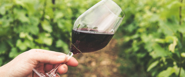 Weine aus Rheinhessen