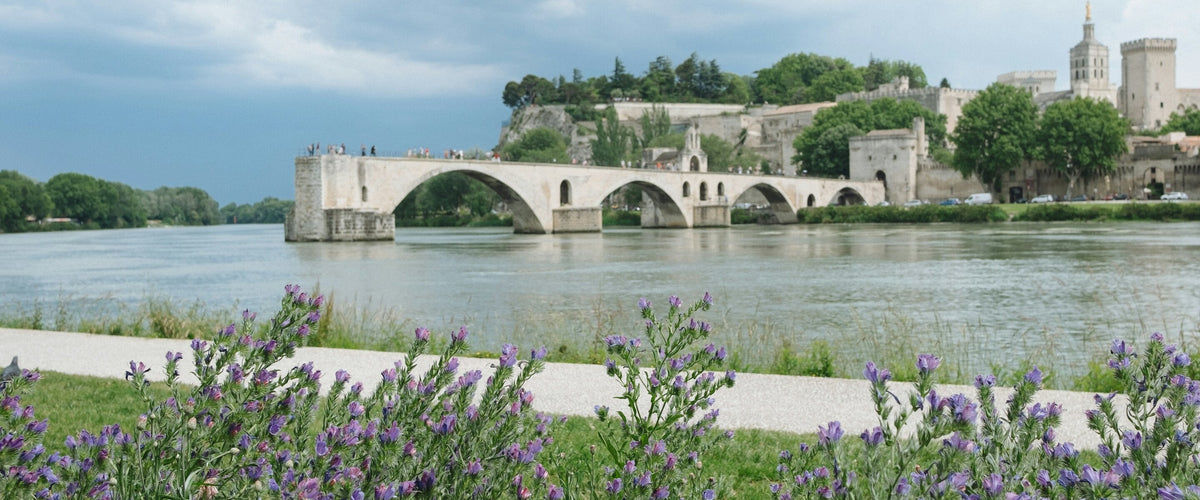 Weine von der Rhône: Pont d’Avignon mit Papstpalast und Wildblumen