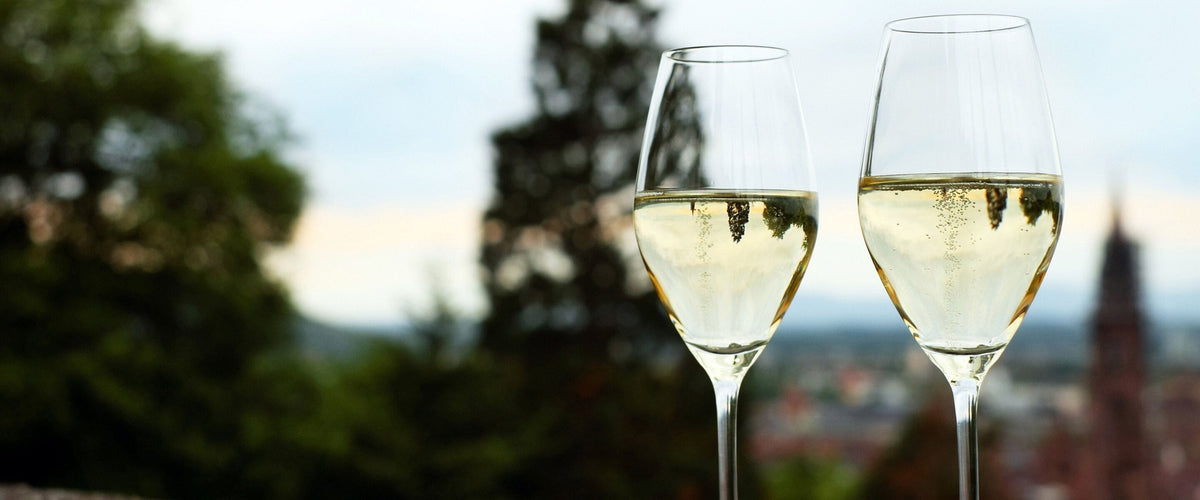 Riesling: Zwei Gläser Weißwein vor Waldhang und Stadt