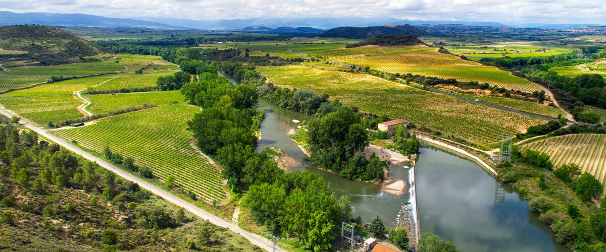Weine aus Rioja: Weinberge
