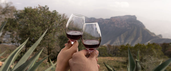 Weine aus Stellenbosch