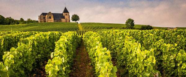 Weine aus Frankreich