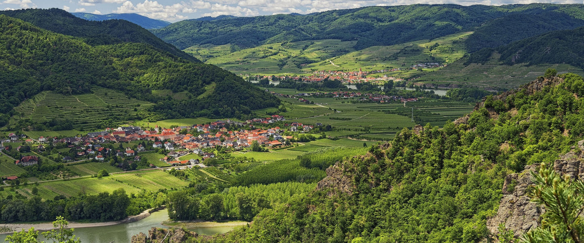 Weine aus Österreich: Wachau-Hügel mit Weinbergen und Dorf