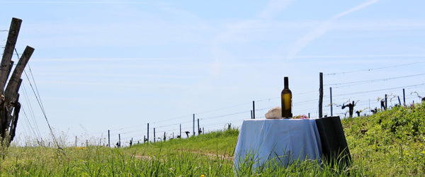 Weine aus Österreich