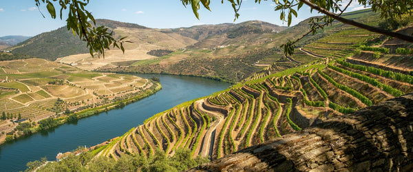 Weine aus Portugal