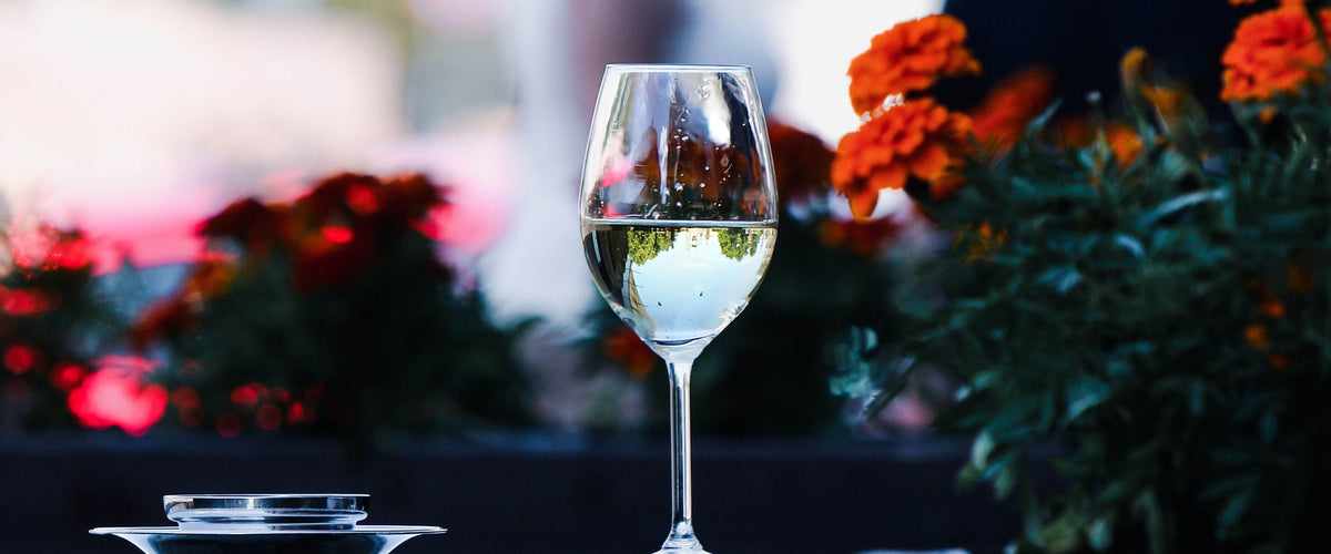 Weißwein: Glas Weißwein zur blauen Stunde zwischen Blumen auf der Terrasse