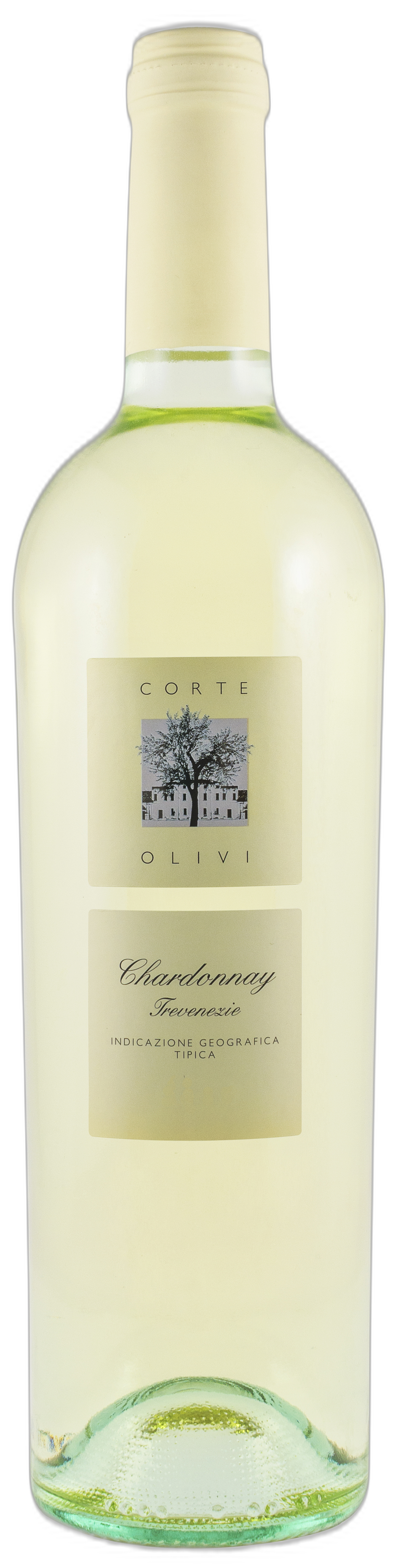Chardonnay Trevenezie IGT Corte Olivi Italien Weißwein trocken