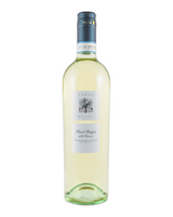 Pinot Grigio delle Venezie DOC Corte Olivi Italien Weißwein trocken