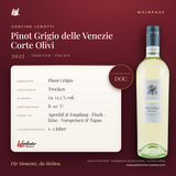 Pinot Grigio delle Venezie Corte Olivi Cantine Lenotti DOC – Venetien – Weinpass | Weinkontor Bastert