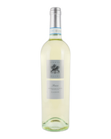 Soave Classico DOC Corte Olivi Italien Weißwein trocken Garganega