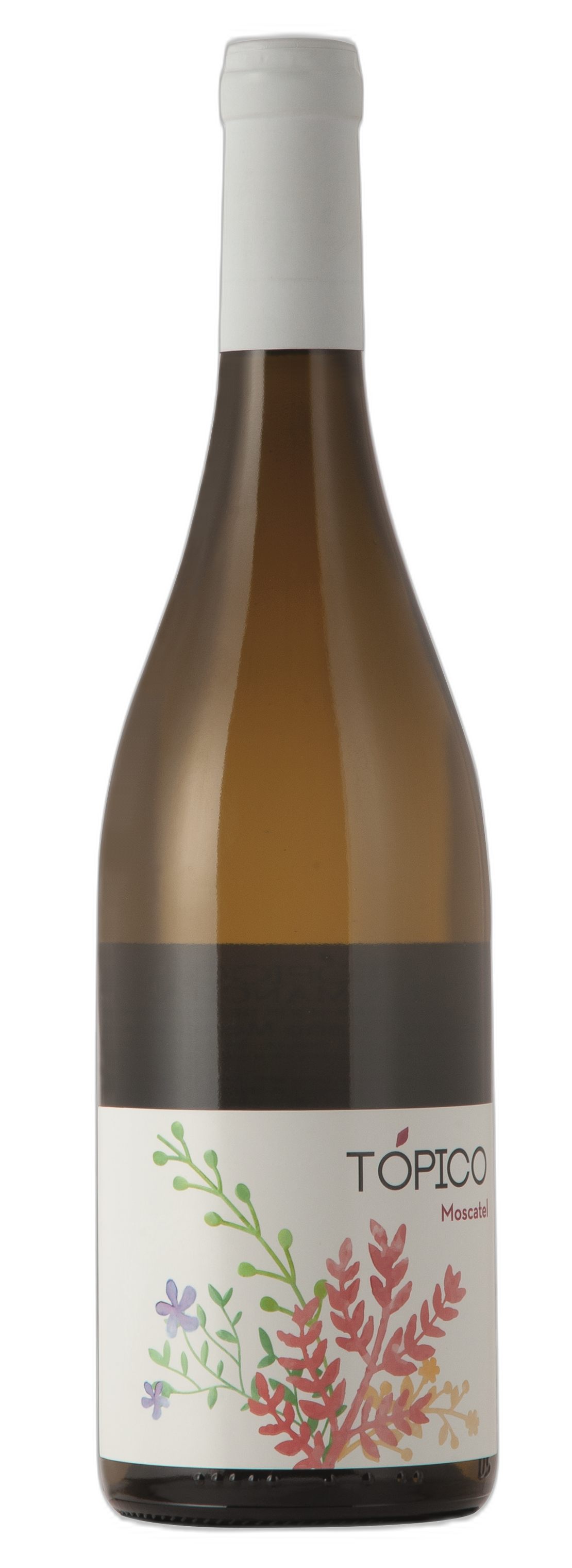 Topico Moscatel DO Spanien Weißwein süß lieblich Muskat-Aroma