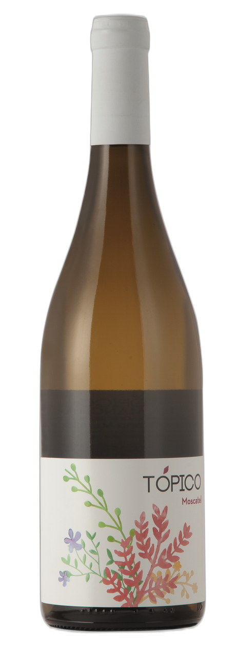 Topico Moscatel DO Spanien Weißwein süß lieblich Muskat-Aroma